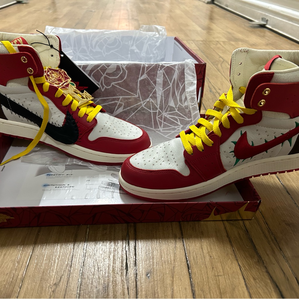 Brand New Air Jordan 1